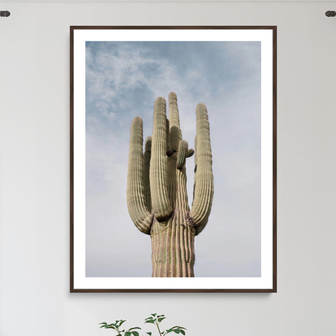 Saguaro Cactus Wall Art Canvas Print, Framed Earthy Desert Botanical Art