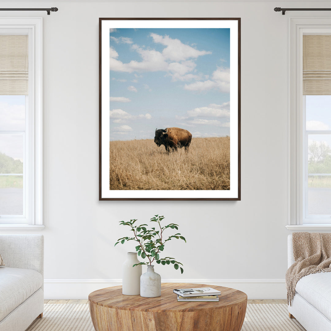 Bison Photography Wall Art Canvas Print: Framed Western Landscape Art