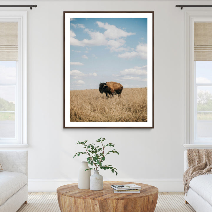 Bison Photography Wall Art Canvas Print: Framed Western Landscape Art