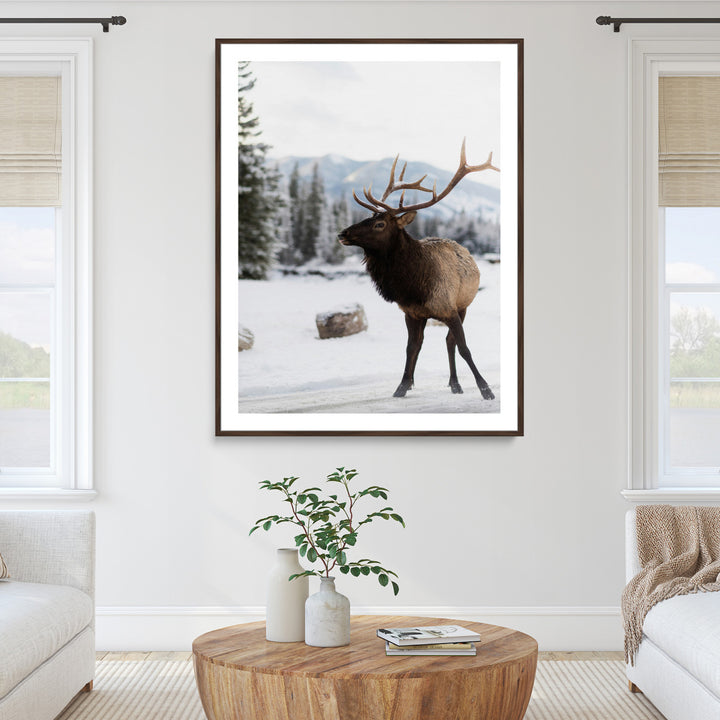 Elk Photography Wall Art Canvas Print, Framed Winter Wildlife Art Picture Print, Snowy Mountains Perfect Rustic Cabin Decor Decor Artwork