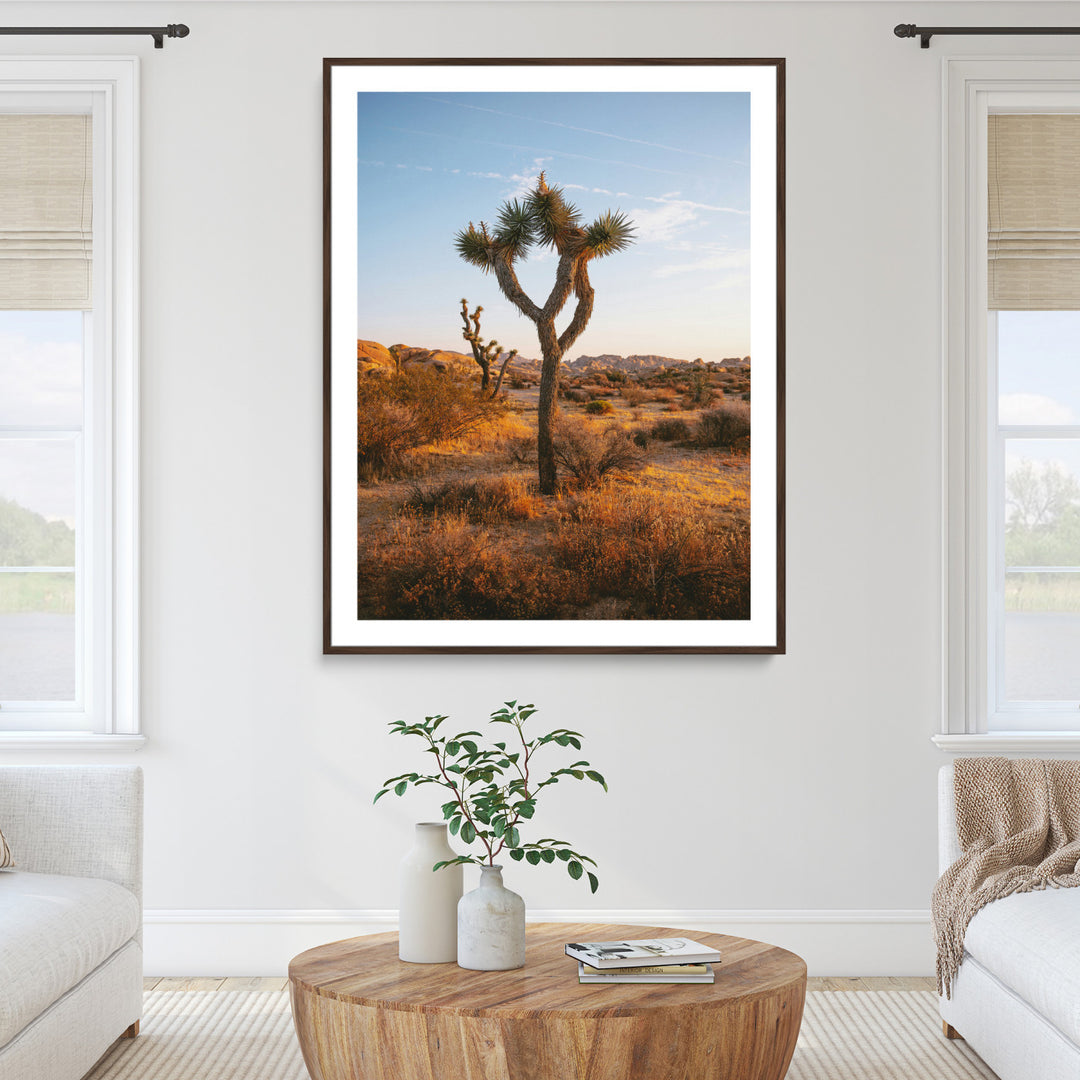 Framed Joshua Tree Print, Golden Hour Desert Print, Framed Sunset Glow Art Print, Large Arid Terrain Printing Southwestern