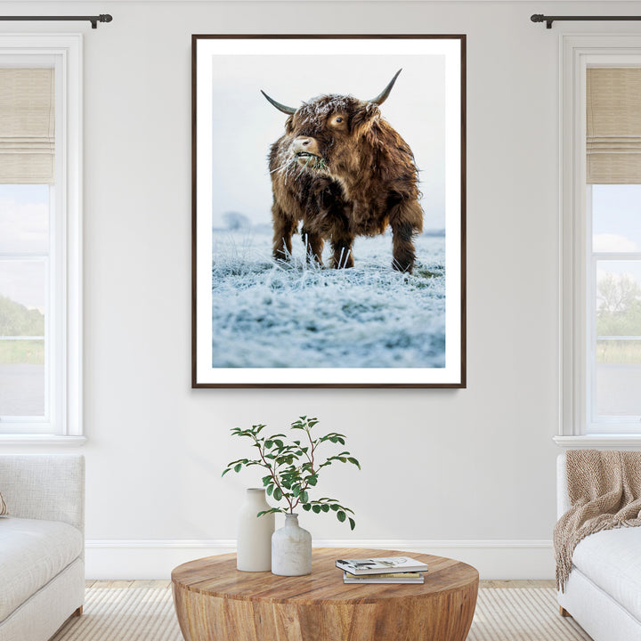 Minimalist Scottish Highlang Cow Wall Art Canvas Print for Farmhouse / County Style Art Print for Living Room - Office Decor