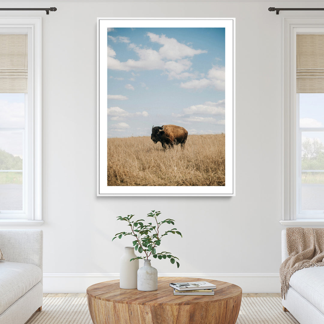 Bison Photography Wall Art Canvas Print: Framed Western Landscape Art