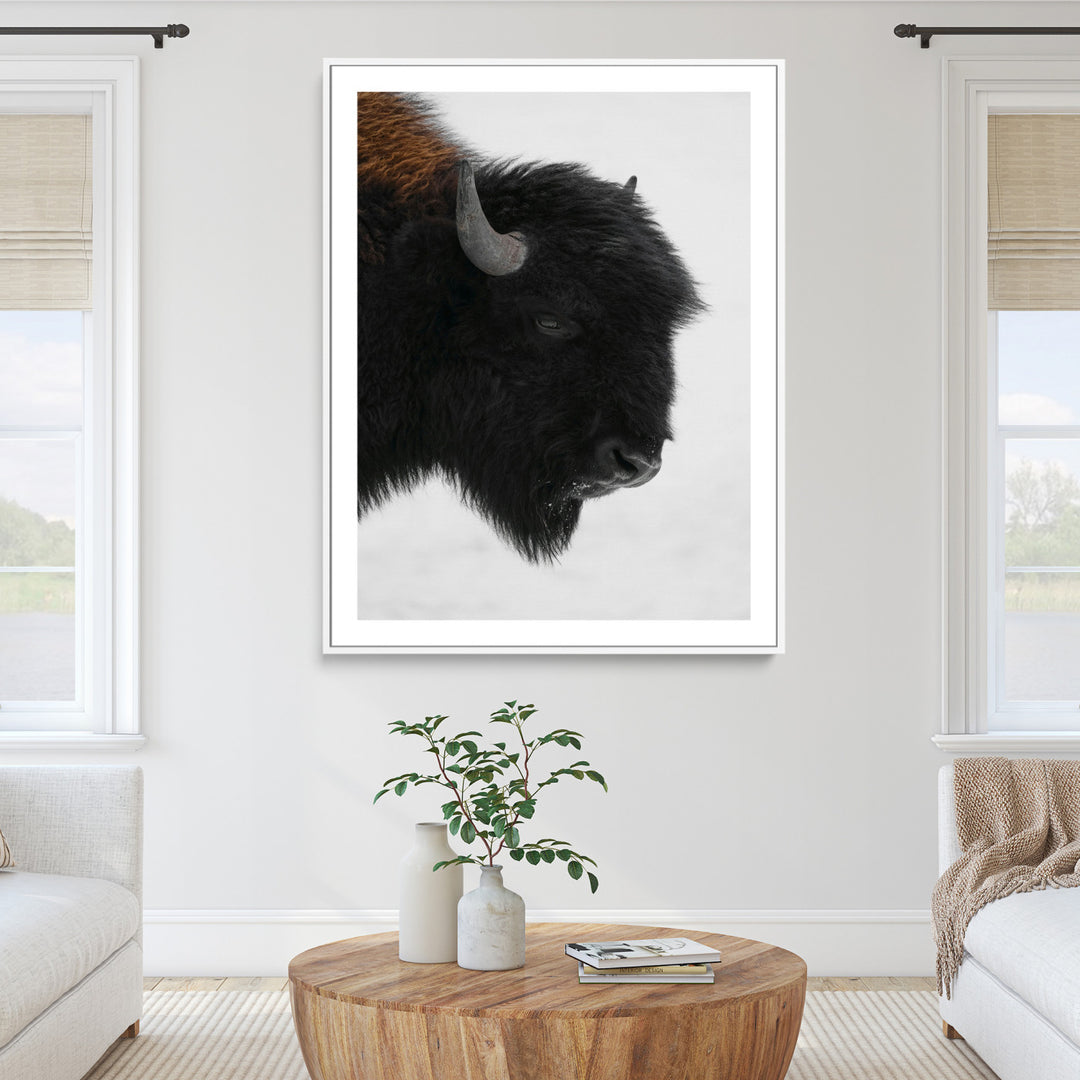 Western Rustic Wall Art Canvas Print, Framed Buffalo Photography Art Picture Print, Black and White Wildlife Perfect Modern Ranch Decor