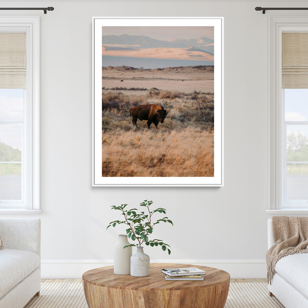 Solitary Buffalo Wall Art Canvas Print, Framed Golden Prairie Art Picture Print, Earthy Tones Perfect Rustic Western Decor Artwork