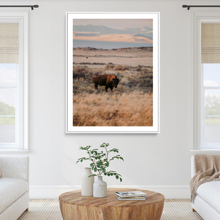 Solitary Buffalo Wall Art Canvas Print, Framed Golden Prairie Art Picture Print, Earthy Tones Perfect Rustic Western Decor Artwork