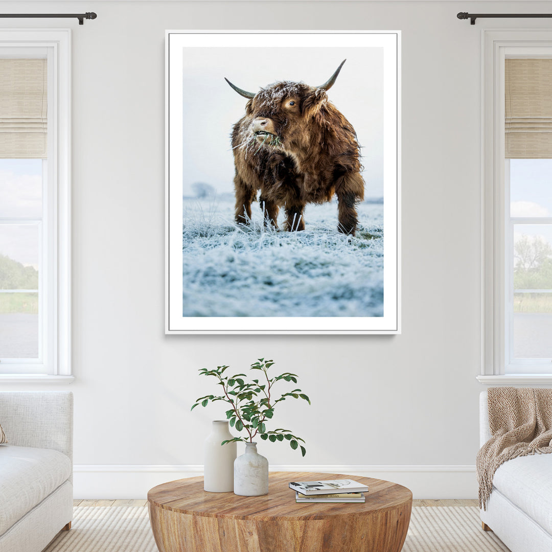Minimalist Scottish Highlang Cow Wall Art Canvas Print for Farmhouse / County Style Art Print for Living Room - Office Decor