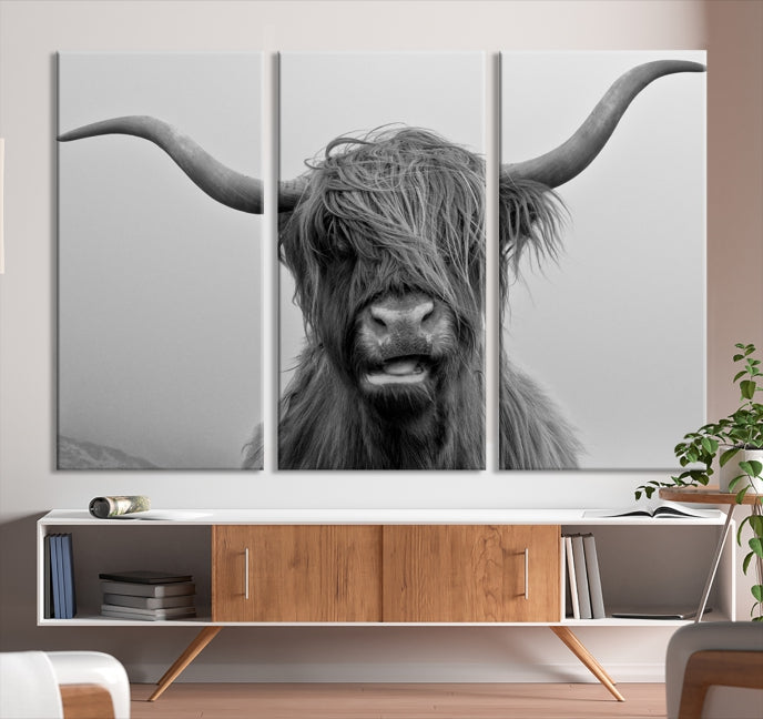 Texas Cow Wall Art Canvas Print