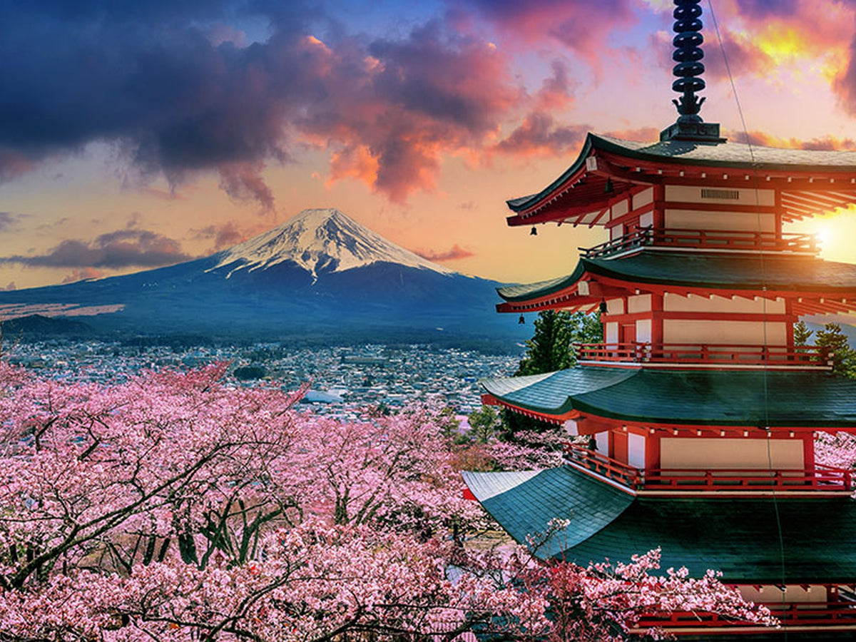 95987-MGV-CV-24X16 - Cherry Blossoms Canvas Print, Chureito Pagoda and Mount Fuji Wall Art