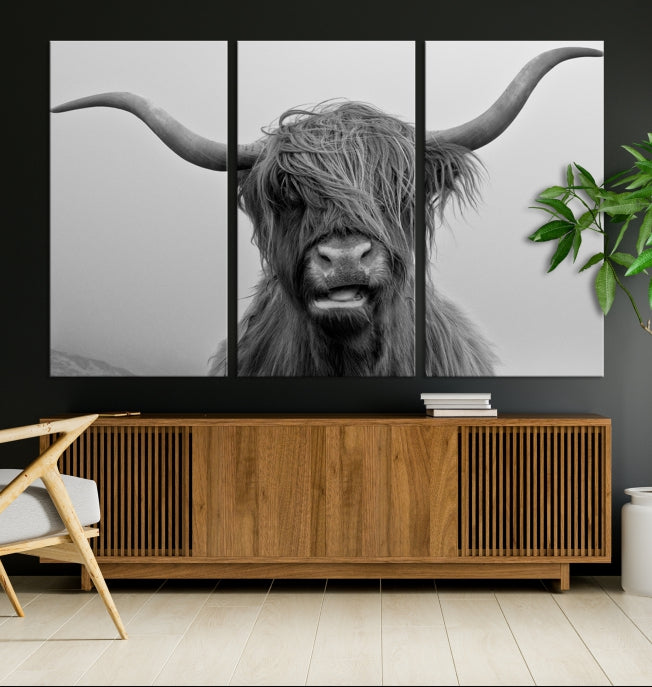 Texas Cow Wall Art Canvas Print