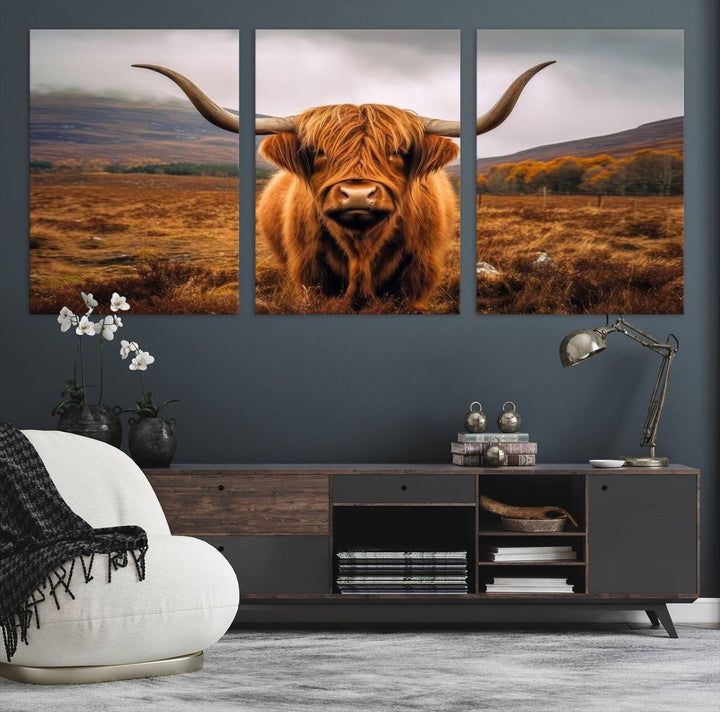 Highland Cow Longhorn Canvas Print, framed, on a wooden wall.