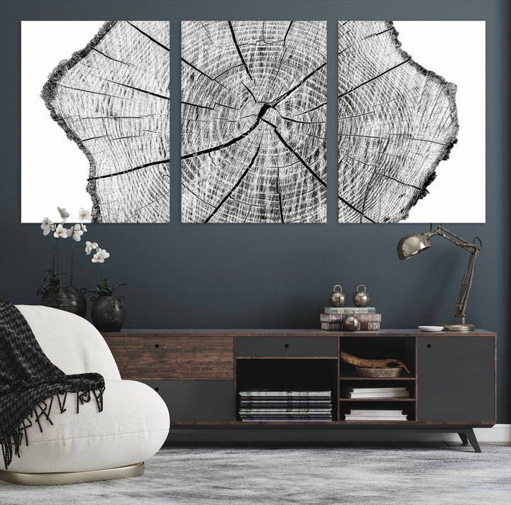 Black and white tree ring art print.