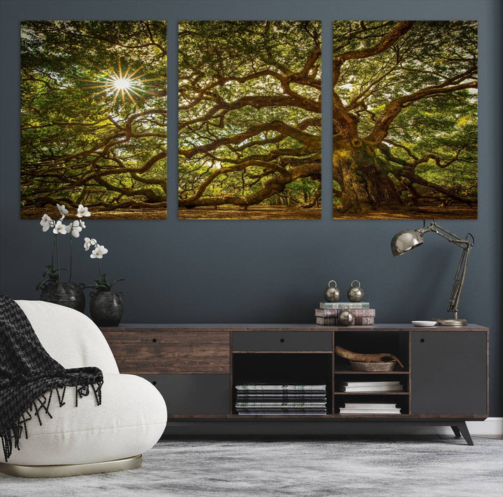 The Ancient Angel Oak Tree Art Sunburst Canvas Print, a framed triptych, serves as wall art.