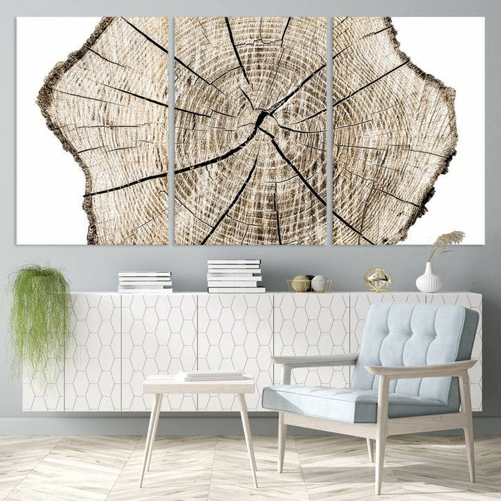 The Abstract Wood Tree Ring Wall Art set of 3 adds a minimalist touch to the space.