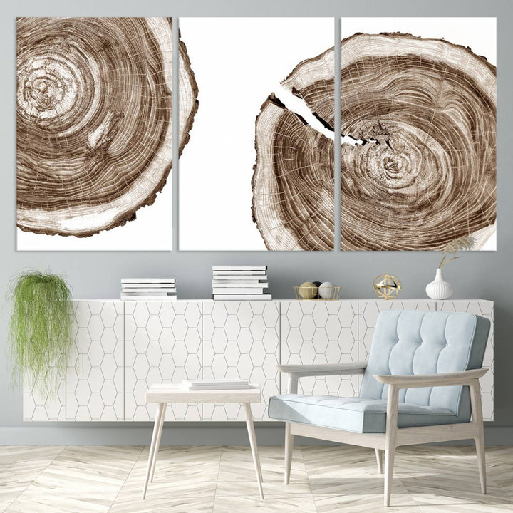 Wood Tree Ring Wall Art on a minimalist black and white canvas.