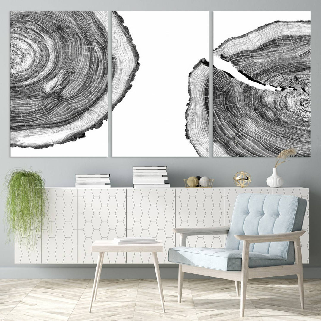 The minimalist art piece Abstract Large Tree Rings on canvas creates a striking focal point.