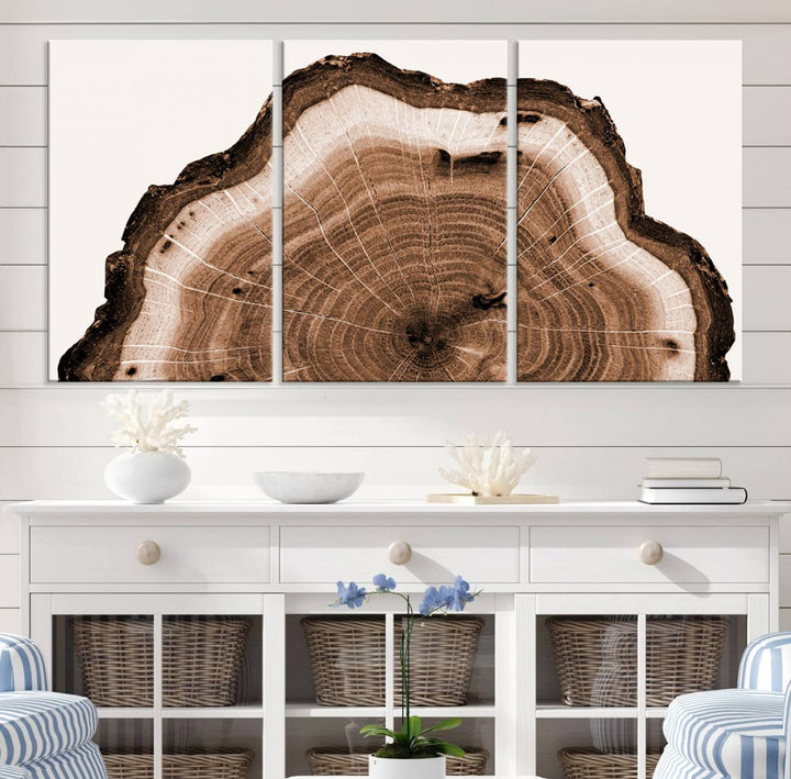 Rustic Wood Rings Wall Art | Nature-Inspired Tree Ring Canvas Print | Ready to Hang and Framed for Farmhouse Wall Decor