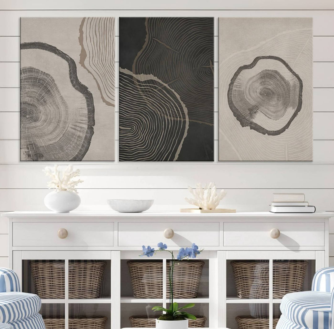 Framed Canvas Wall Art Set Wood Tree Rings Age Abstract Illustrations Prints Modern Art Minimalist Neutral Boho Decor