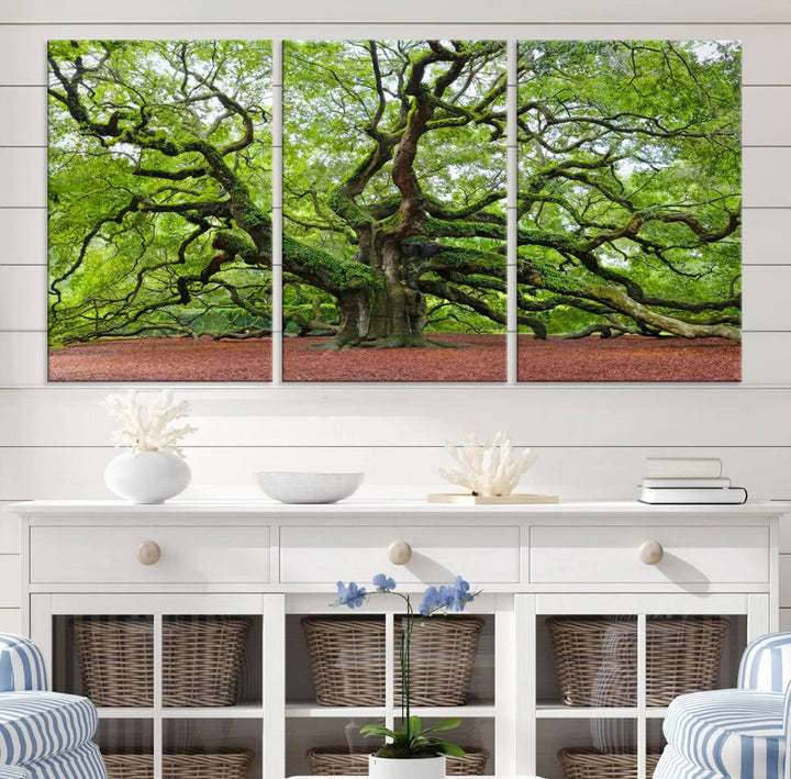 Framed Angel Oak Tree Wall Art - 3-Panel Canvas Prints, Large Green Nature Artwork, Ready to Hang Home Decor for Living Room, Office, Bedroom