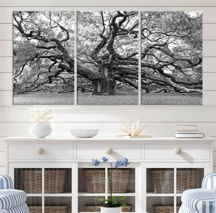 Black White Angel Oak Tree Wall Art - Timeless Nature-Inspired Canvas for Rustic, Modern, or Traditional Home Decor