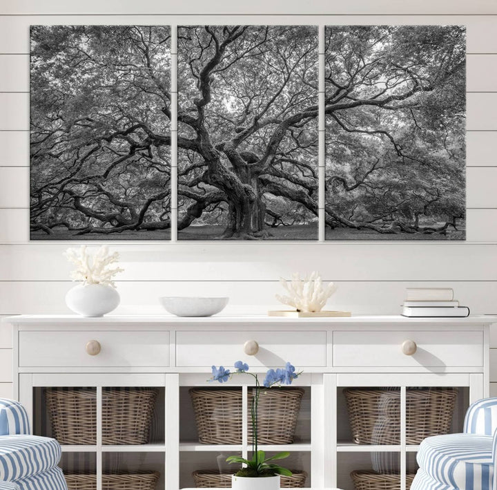 Majestic Angel Oak Tree Black and White Canvas Print – Multi Panel Wall Art, Giclée Print, Ready to Hang Nature Photography for Home Decor