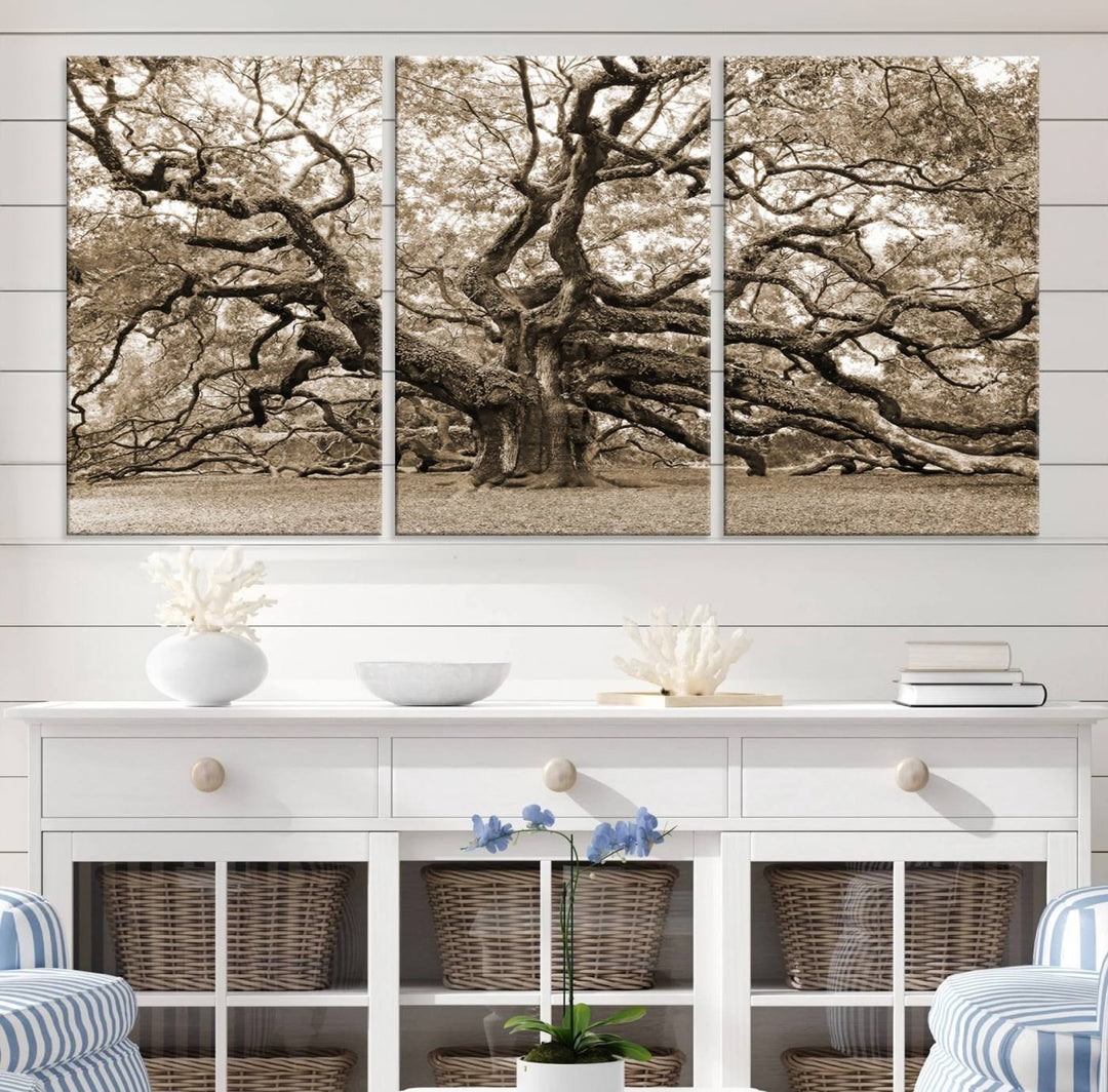 Displayed on the wall is a Sepia-framed Angel Oak Tree 3-panel canvas.