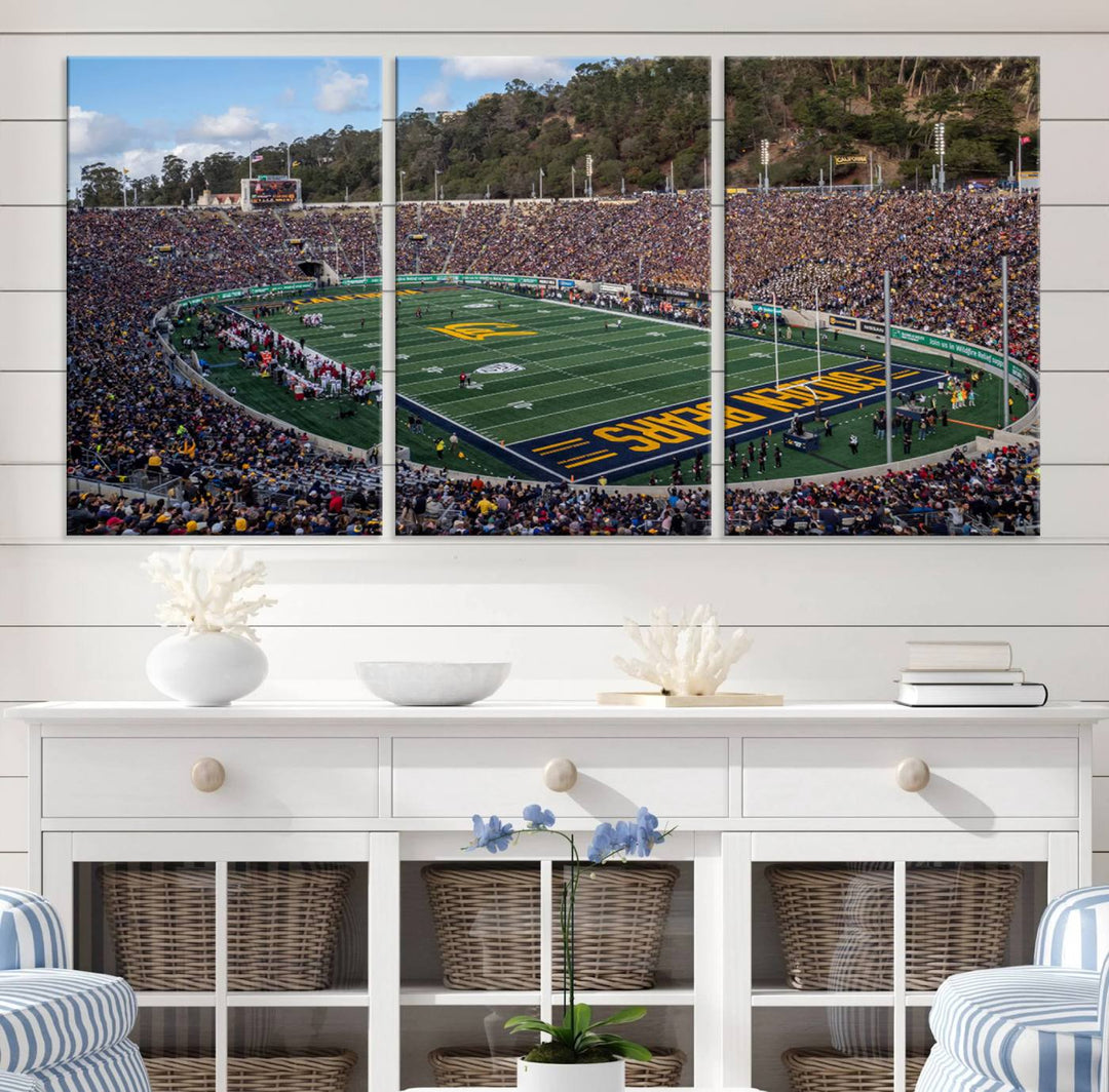 University of California Golden Bears Football Team Print - Berkeley California Memorial Stadium Wall Art Canvas Print