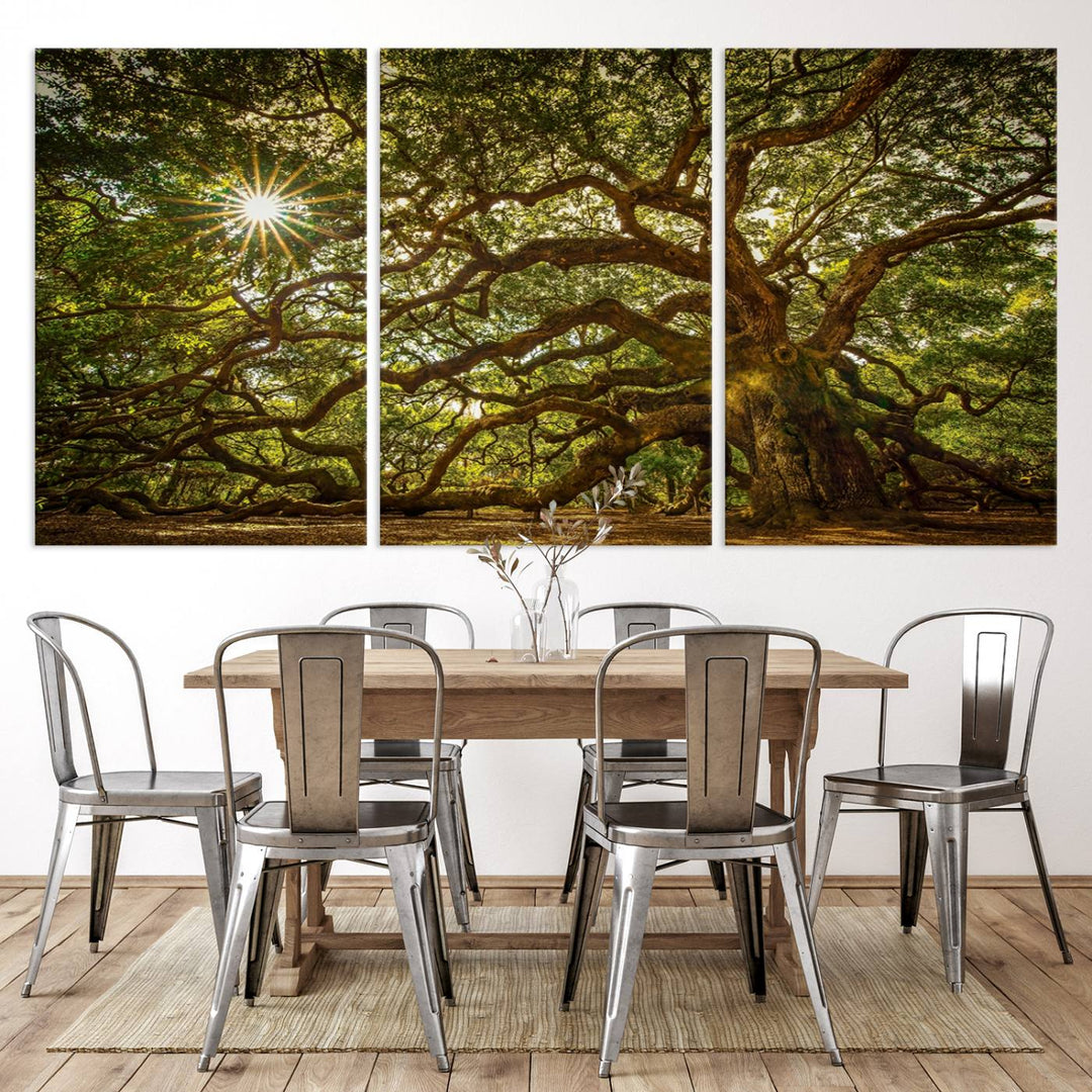 The Ancient Angel Oak Tree Art Sunburst Canvas Print, a framed triptych, serves as wall art.