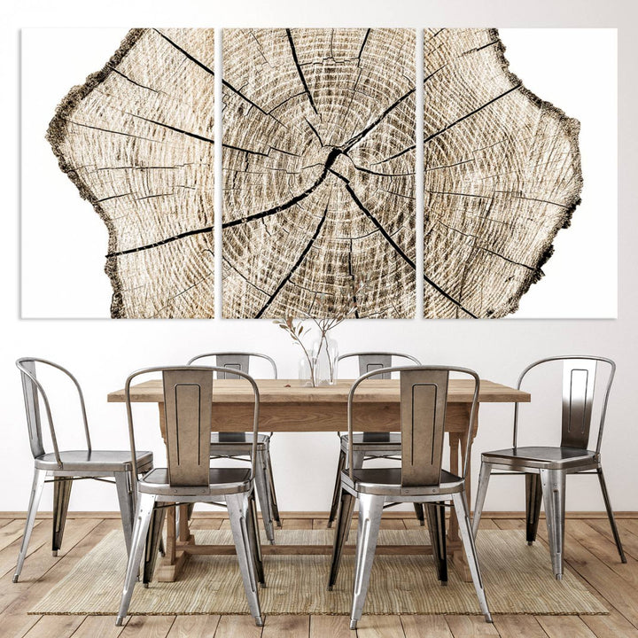 The Abstract Wood Tree Ring Wall Art set of 3 adds a minimalist touch to the space.