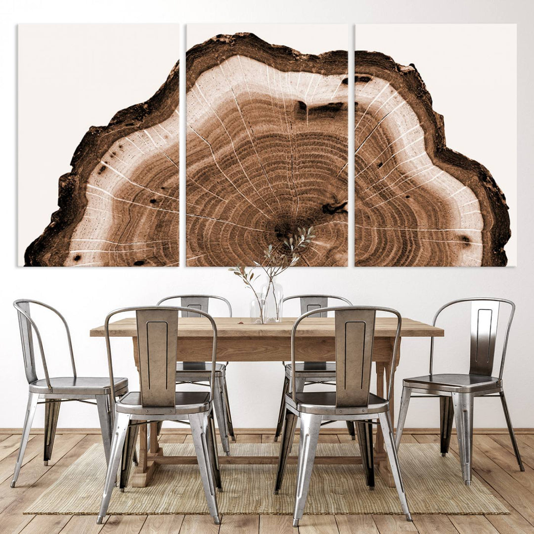 Rustic Wood Rings Wall Art | Nature-Inspired Tree Ring Canvas Print | Ready to Hang and Framed for Farmhouse Wall Decor