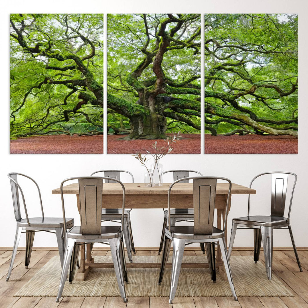 Framed Angel Oak Tree Wall Art - 3-Panel Canvas Prints, Large Green Nature Artwork, Ready to Hang Home Decor for Living Room, Office, Bedroom