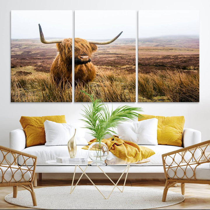 A ready-to-hang Scottish Highland Cow Cattle Canvas Wall Art.