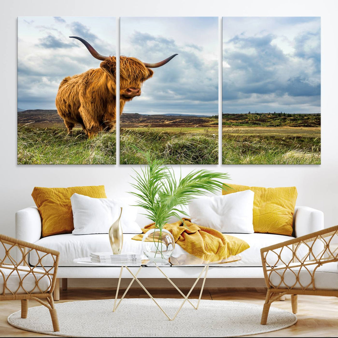 Highland Cattle Canvas Print: A minimalistic touch for any setting.