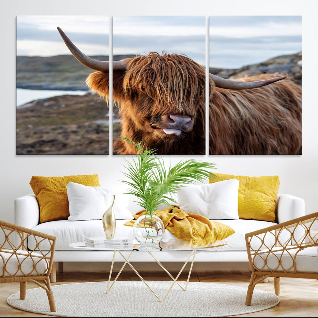 The Cuddly Highland Cow Canvas hangs, adding charm with its shaggy elegance.