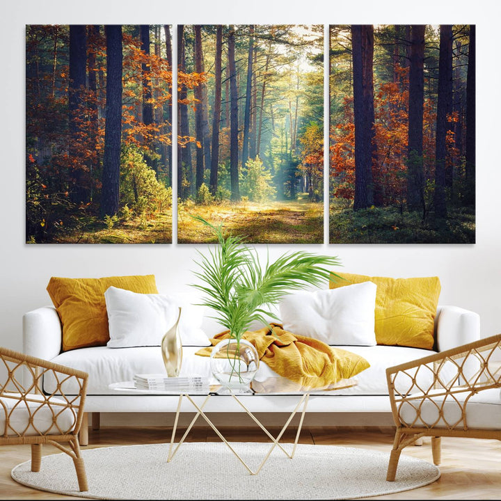 The Dark Forest canvas wall art showcases a captivating forest landscape.