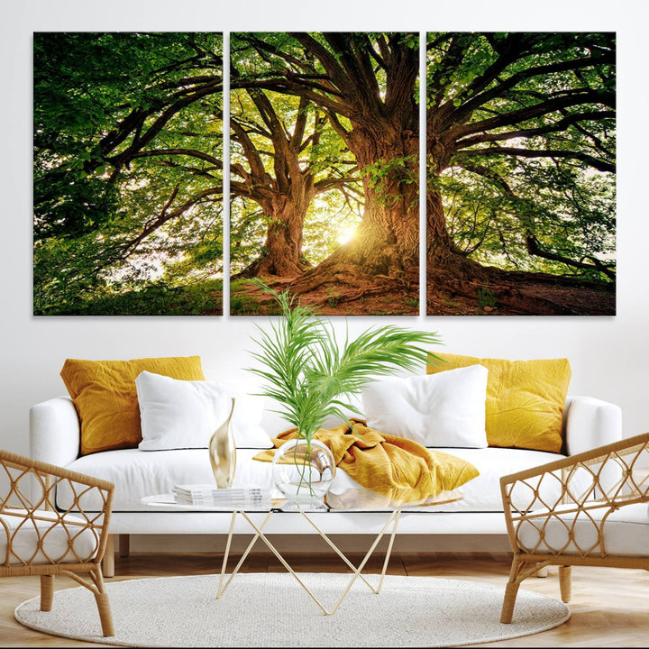 Majestic Ancient Tree Wall Art is illuminated by sunlit forest rays.