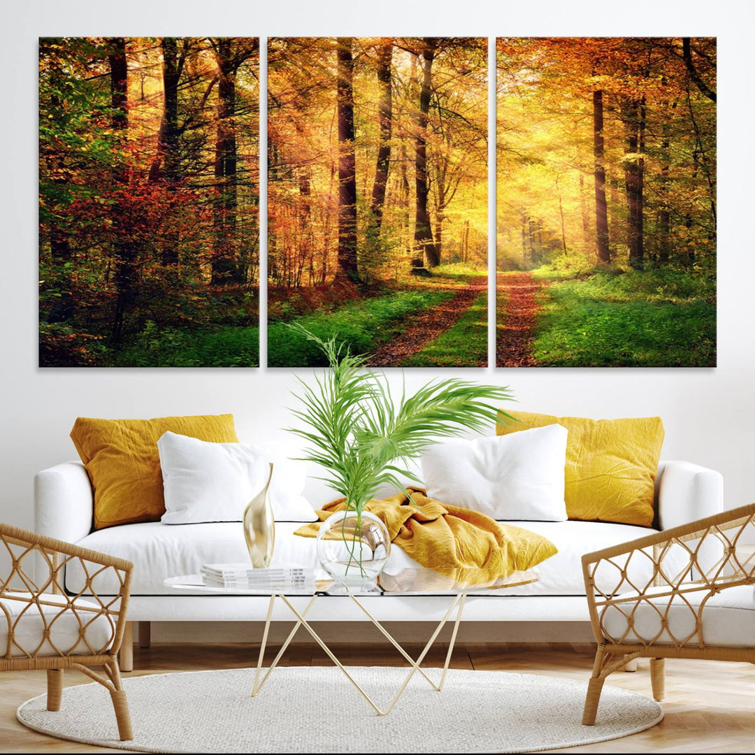 The Sunlight Through Trees Wall Art Canvas Print showcases a sunlit autumn forest and includes UV protection to ensure lasting vibrance.