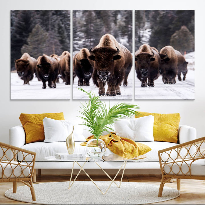 Bison Herd Canvas Wall Art.