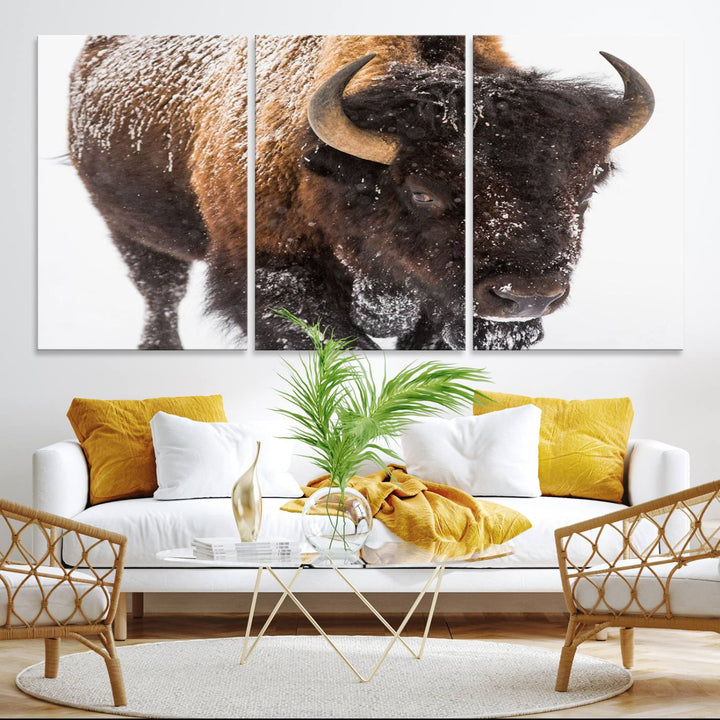 Bison Wall Art Canvas.