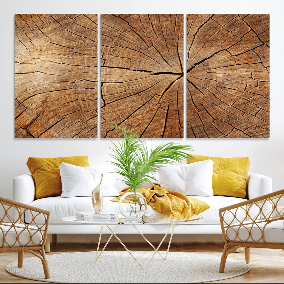 Tree Ring Canvas Art decorates a textured wall.