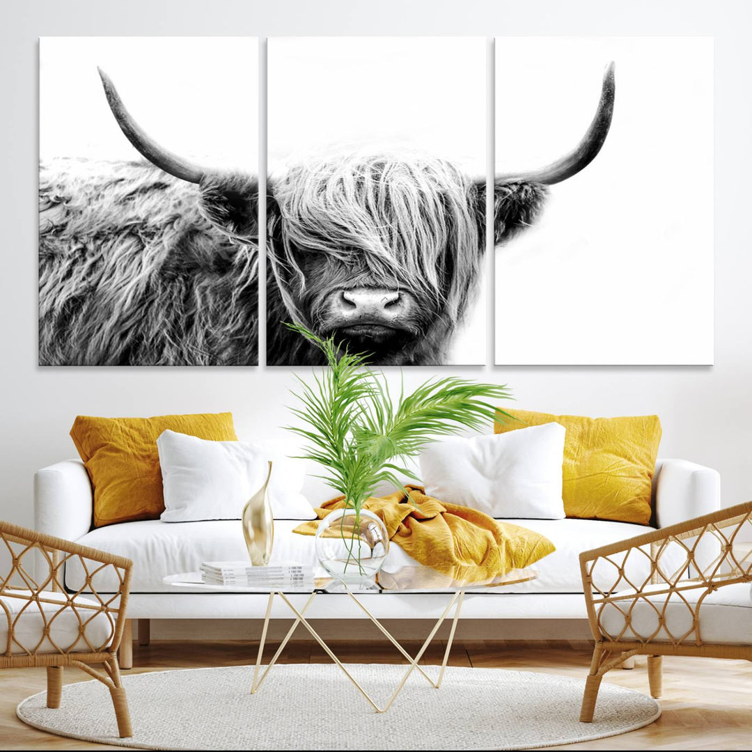 Framed Black and White Scottish Highland Cow Art Print.