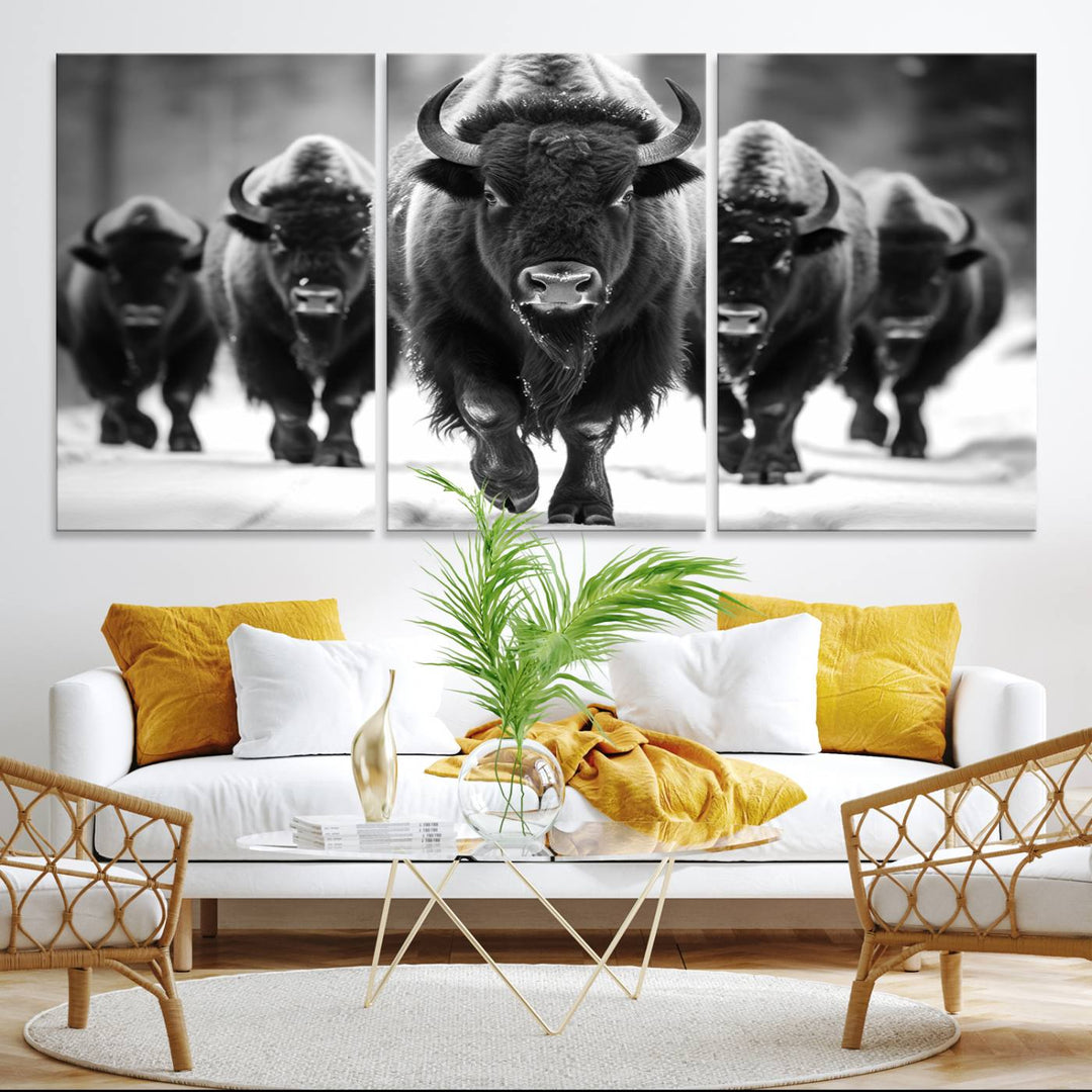 A black and white American Bison herd canvas print adorns the wall.