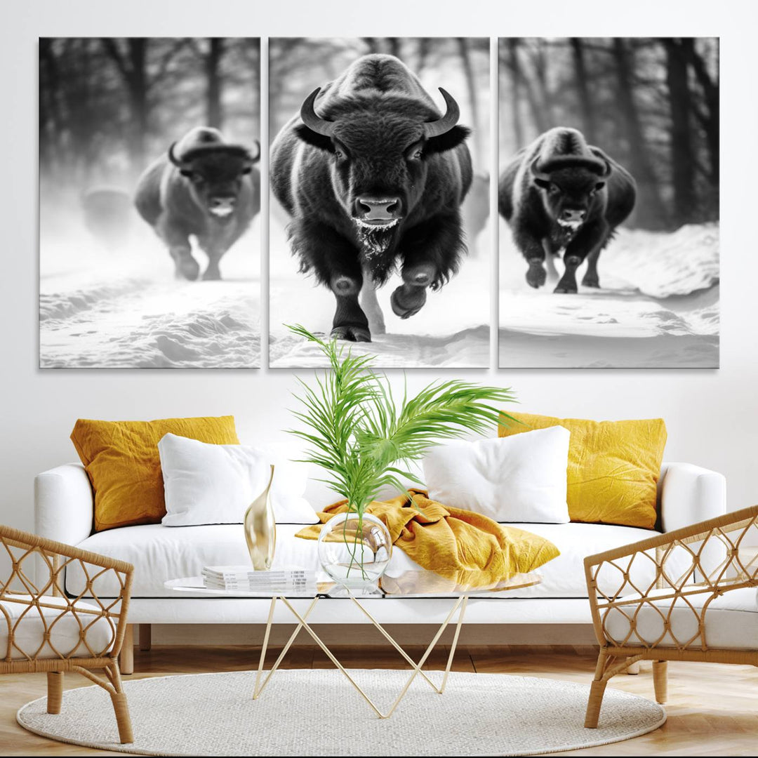 The Buffalo Wall Art Canvas Print of bison running through snow adorns the wall.