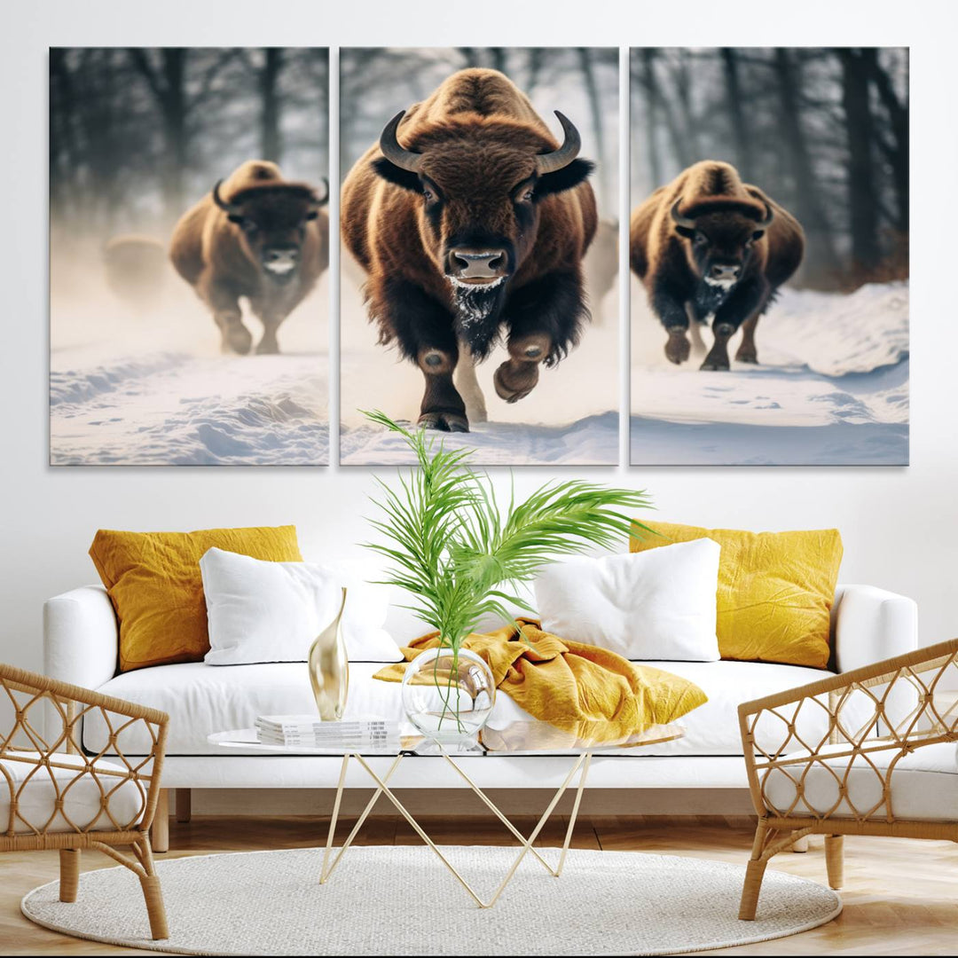 Wall art titled Cow Bighorn shows three bison running through snow in a forest.