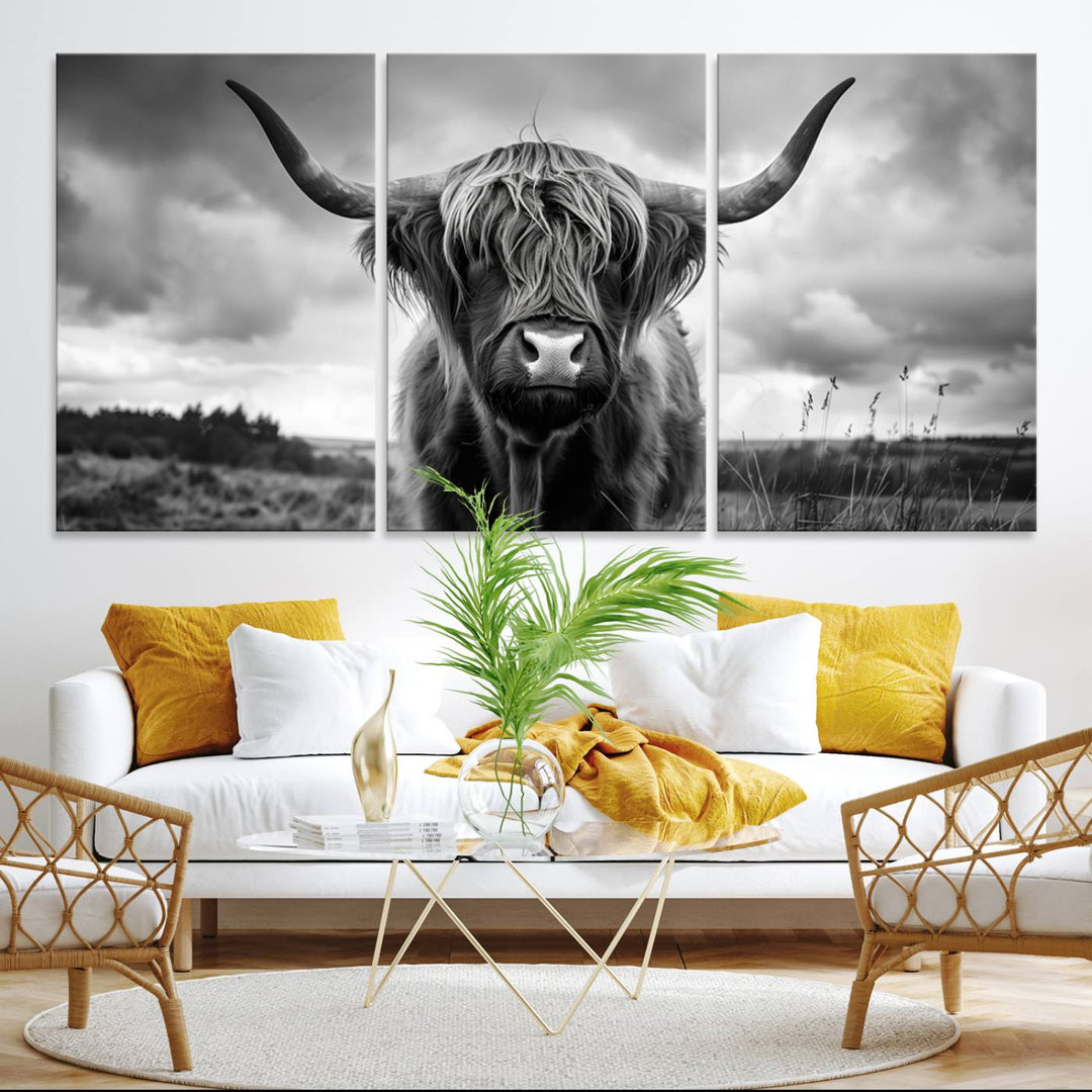 A large Scottish Cow Wall Art Canvas Print hangs on the wall.