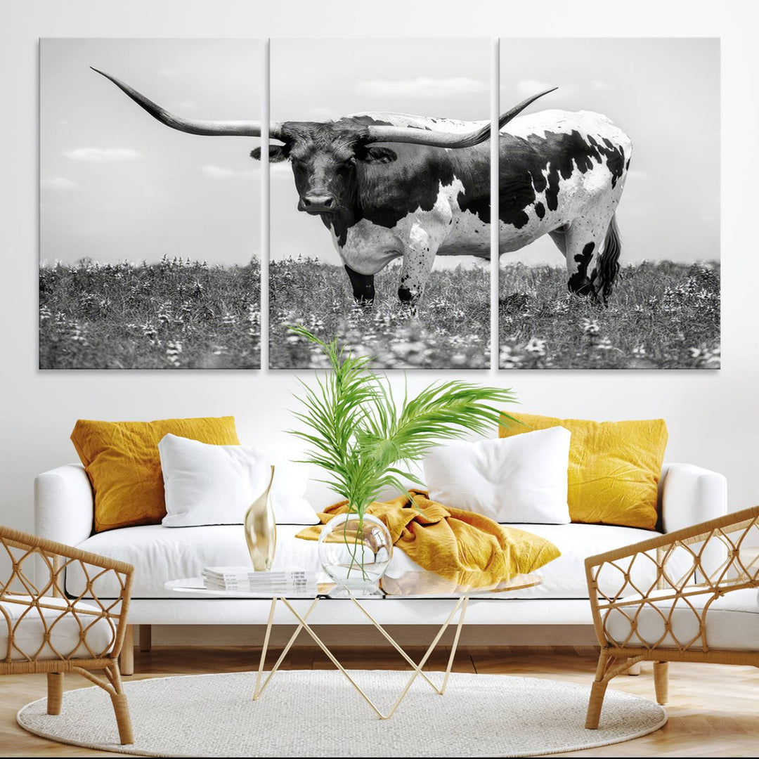 Texas Black White Highland Longhorn Cow Wall Art Canvas displayed on the wall.