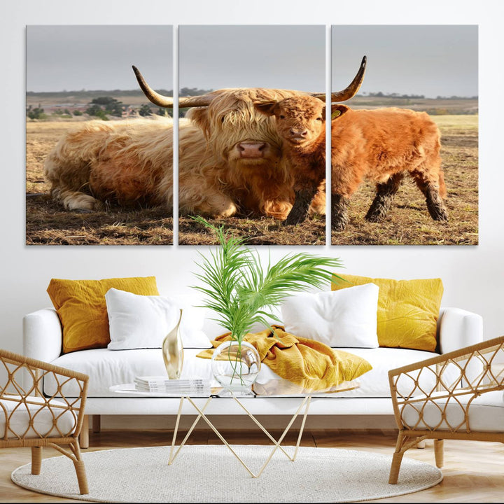 Highland Cow Canvas: a light brown cow and calf in the field, ideal farmhouse decor.