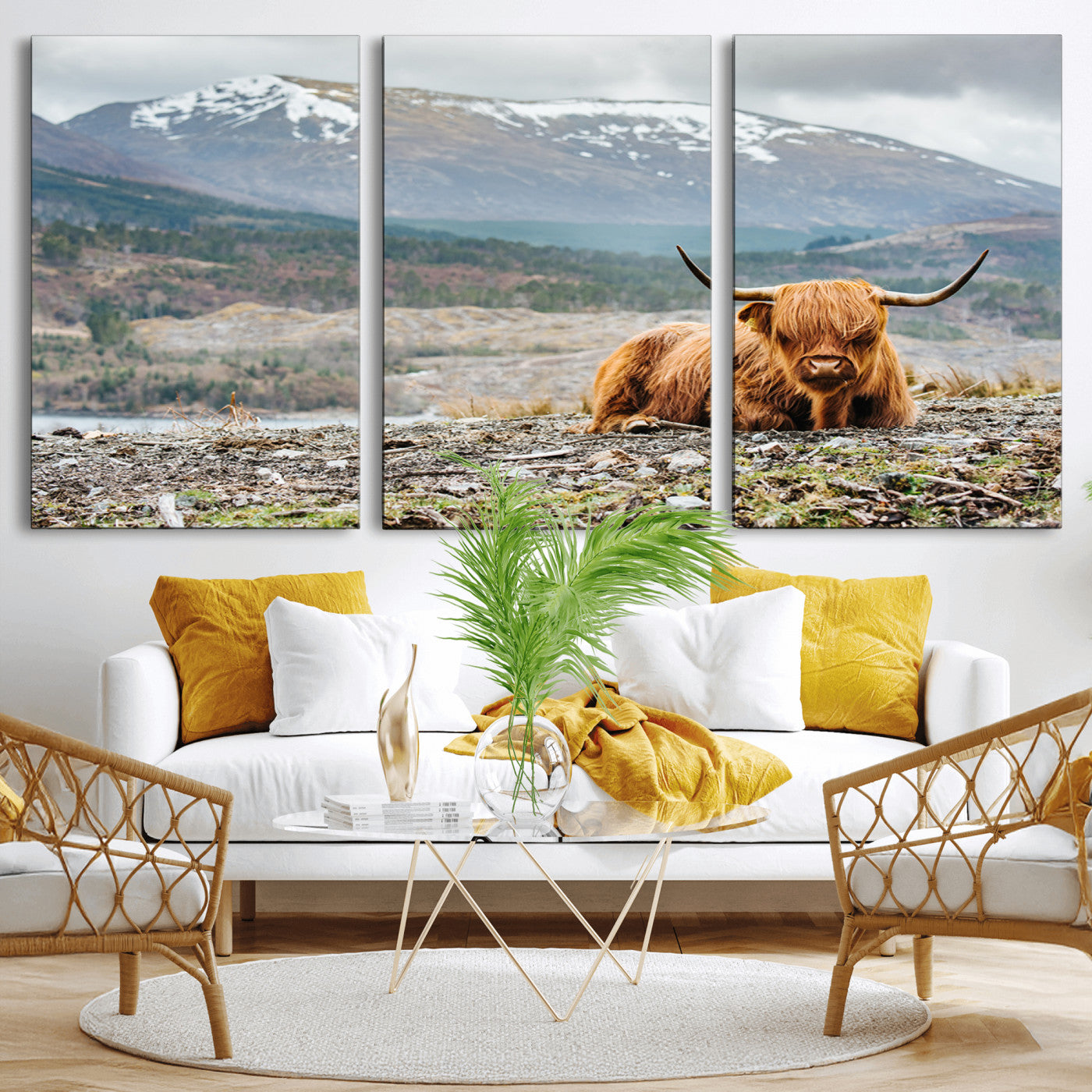 -Highland Cow Horn Farm Wall Art Canvas Print