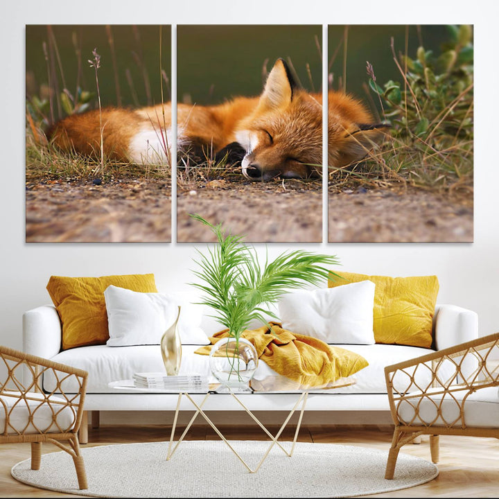 The Sleeping Fox Wall Art Canvas Print is ideal for farmhouse decor.