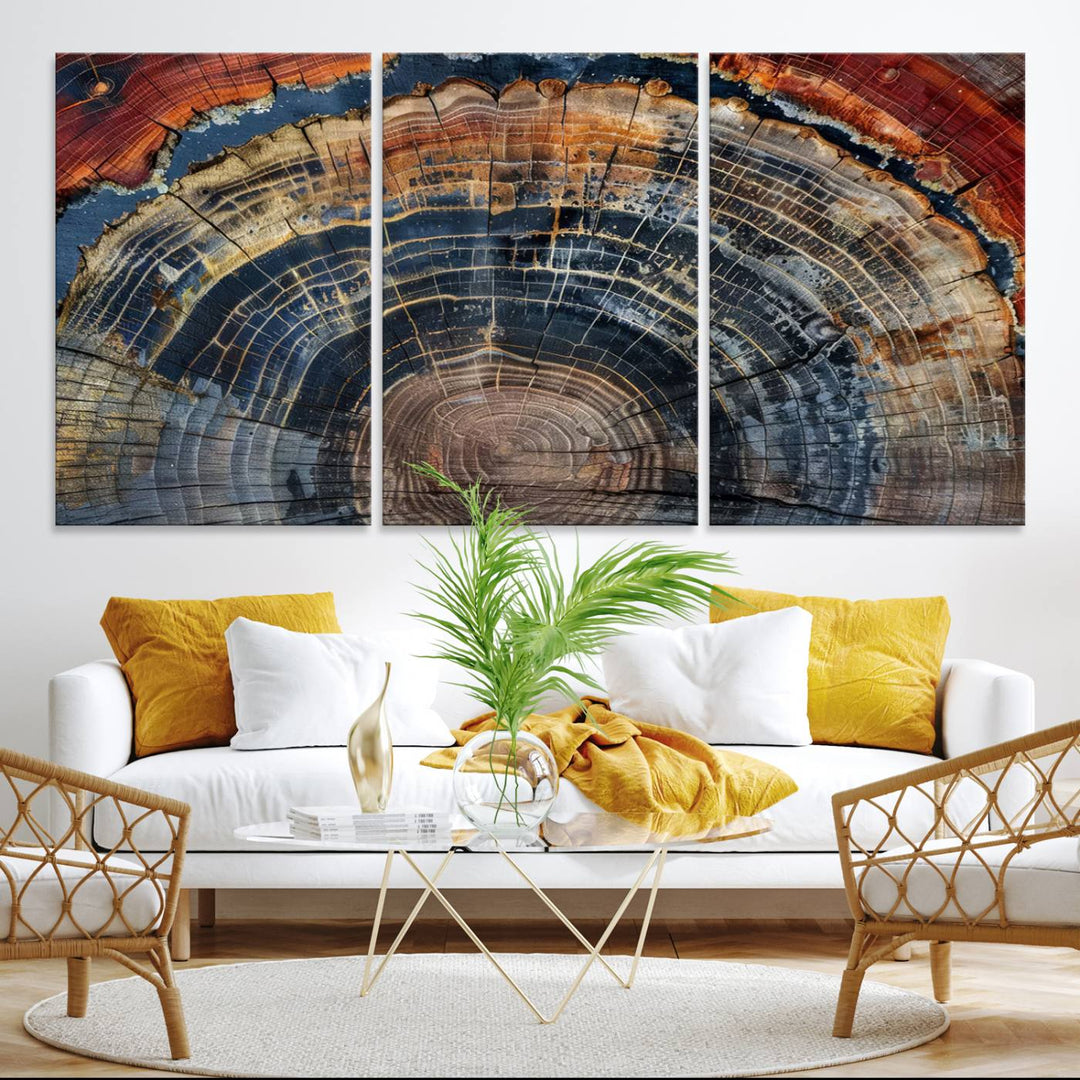 Abstract Tree Ring Wall Art, Colorful Framed Tree Ring Wall Decor, Minimalist Home Canvas Art, Modern Farmhouse Decor